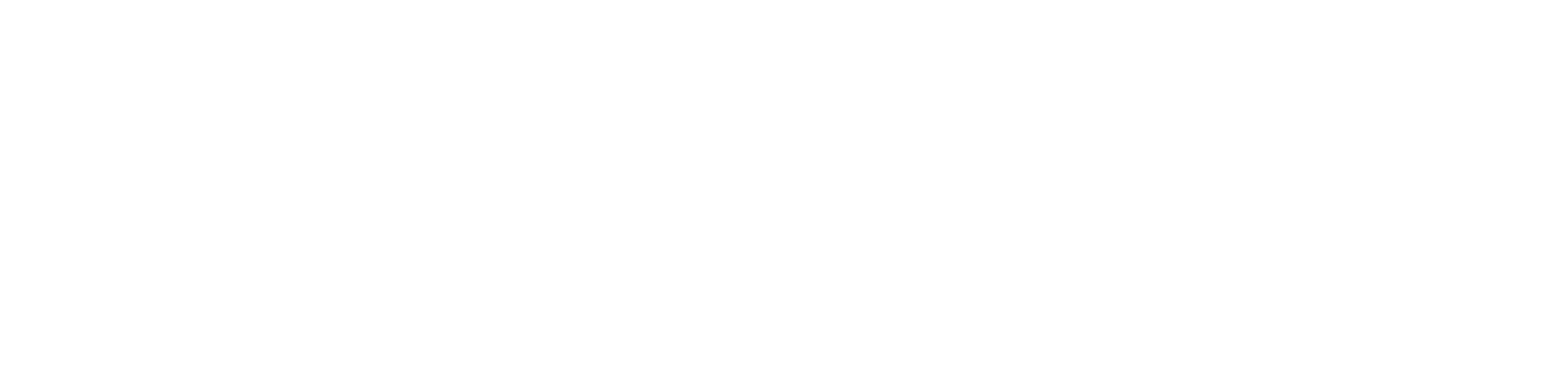 Binaxpay Logo Light AI